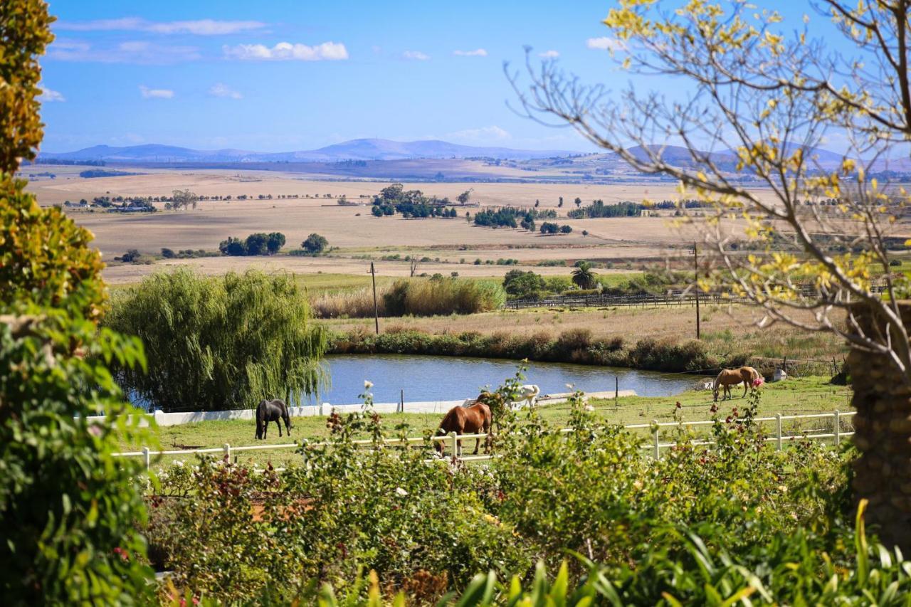 Landskroon Cottage Paarl Kültér fotó